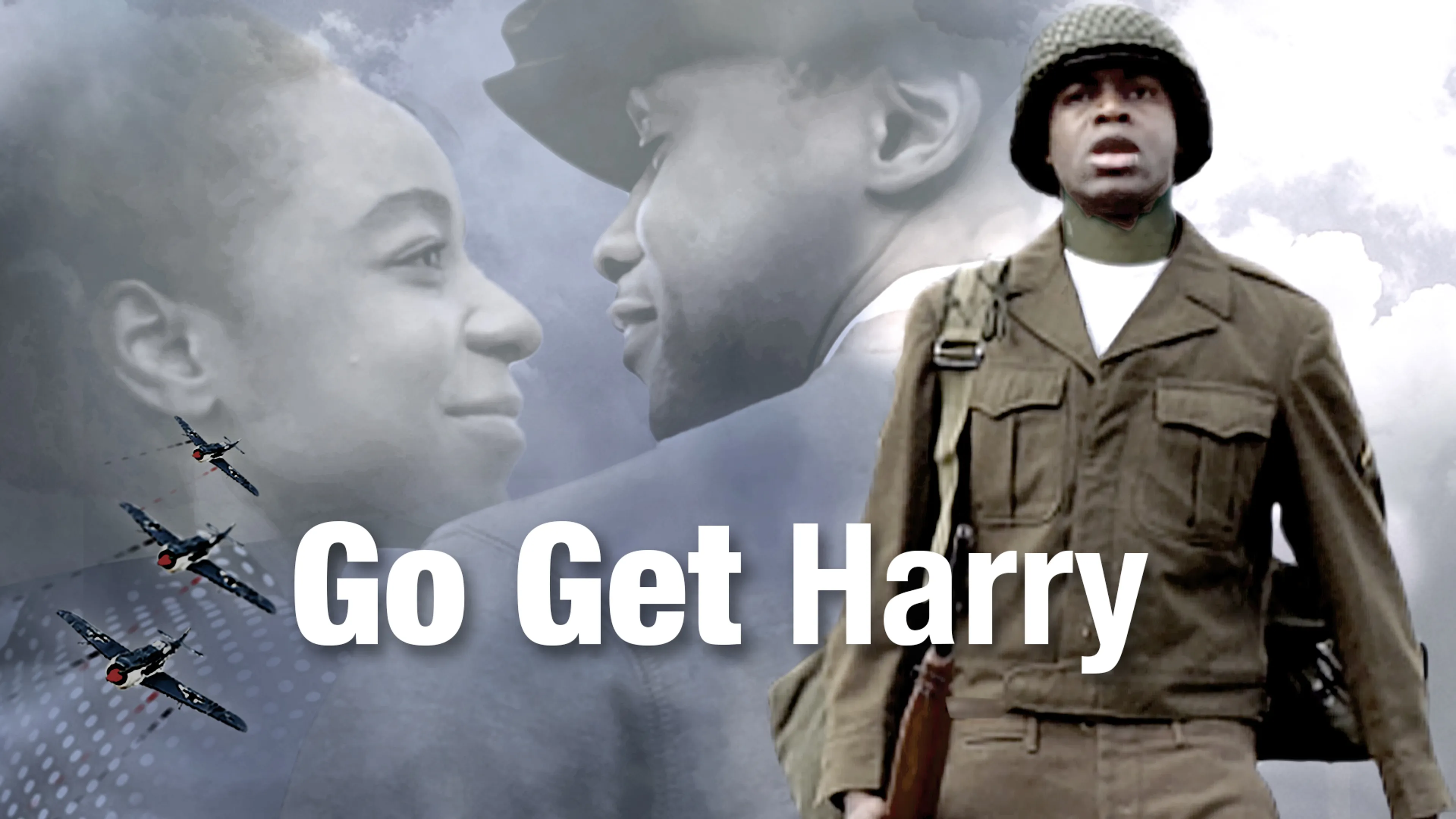 Go Get Harry poster